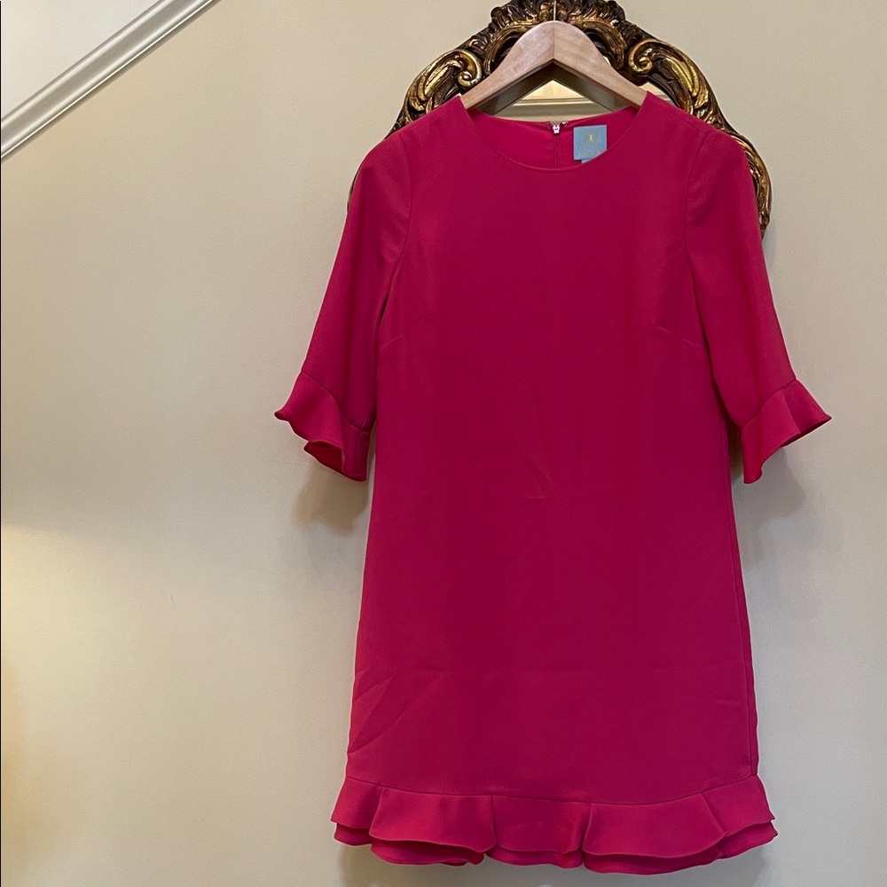 Chic Pink Cece Ruffle Hem Dress Size 2
